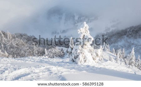 Winter at Soriska Planina