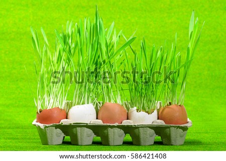 grass from eggs