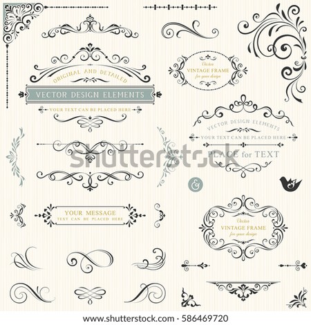 Calligraphy swirls, swashes, ornate motifs and scrolls. Vector illustration.
