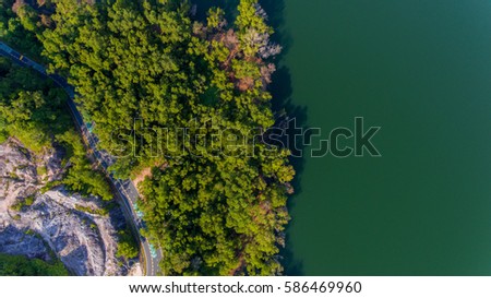 Road in the forest aerial view