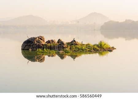 Reflection of Stone in Powai Lake, Mumbai