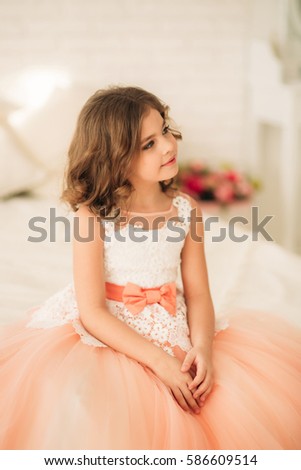 Little beautiful girl with brown hair in a dress