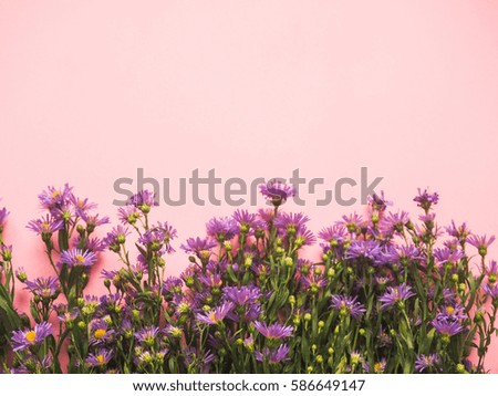 a field of small blue flowers on a pink background, as an underlay, background, space for text