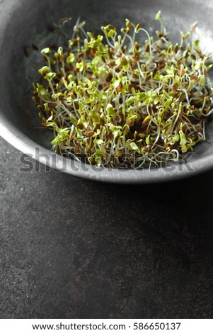 Green flax sprouts in a bowl on a gray background vertical