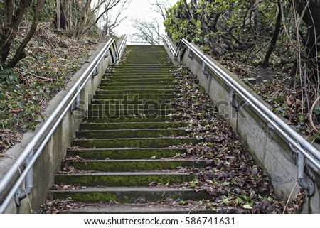 Moss Covered Winter Stairs