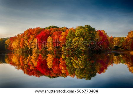 Fall Colors Reflecting in a pond Royalty-Free Stock Photo #586770404