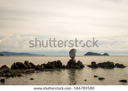 Big shell on rocks near blue ocean with beach background Koh Phangan island Thailand