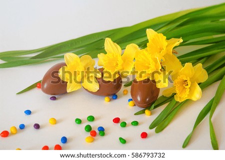 Easter eggs on meadow with daffodil flower