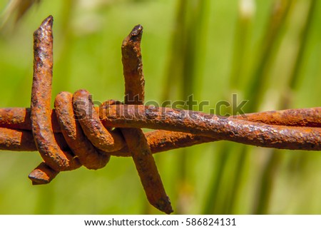 barbed wire Royalty-Free Stock Photo #586824131