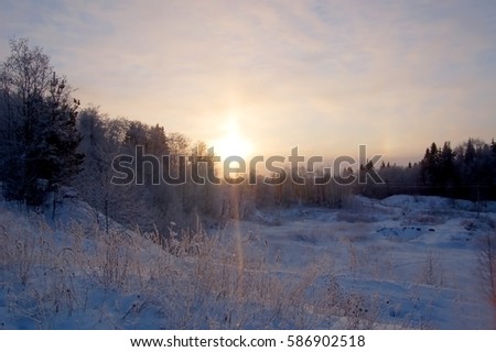 Road in winter forest, in a winter wonderland