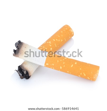 cigarette butt. two. isolated on white background