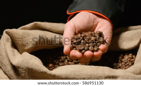 Human takes a heap of roasted coffee beans by hand from a sac and look it