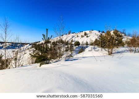Hills covered with snow in winter with pines, trees and blue sky background.
