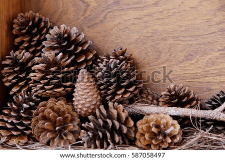 Dried flowers, pine wood floor