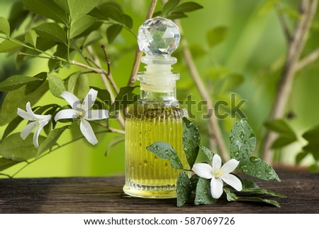 Andaman satinwood, Chanese box tree, Cosmetic bark tree, Orange jasmine, Orange jessamine, Satin wood, Oils on natural background.
