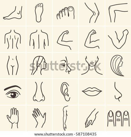 human body parts icons plastic face surgery, medical vector icons. Body sculpting system. Royalty-Free Stock Photo #587108435
