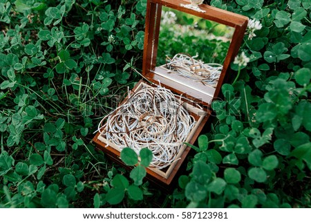 Golden wedding rings lie on the ropes in a wooden box with a mirror, which stands on the grass.