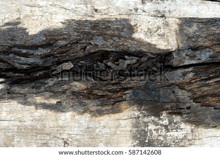 Wood texture,  Abstract background, Old  wooden vintage.