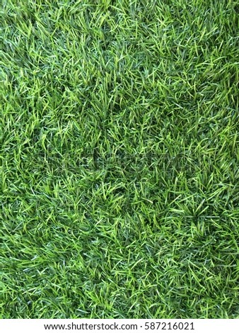 
artificial grass
