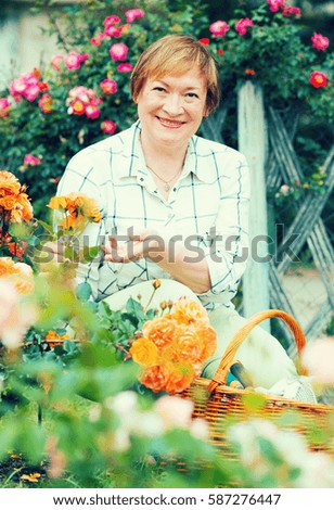 glad mature woman gardener taking care of bush roses outdoors on summer day
