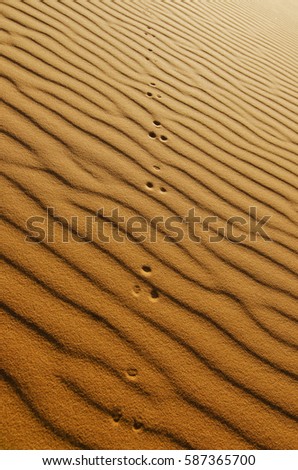  Desert, Erg Chebbi, sand dunes, Sahara, Morocco, North Africa