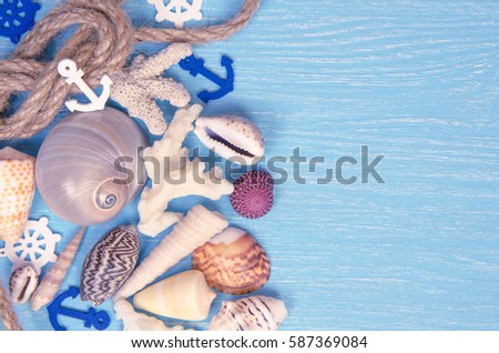 summer background made of seashells and Maritime objects, holiday concept of summer vacation. Toned photo