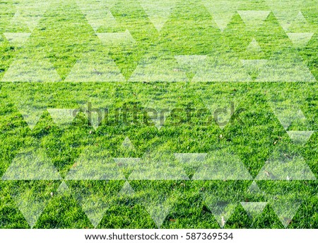 Abstract geometric triangle, poly background, green grass field.