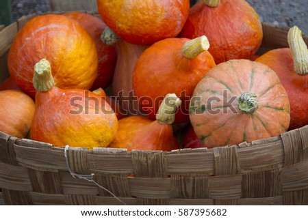 detail of the basket of small pumpkins