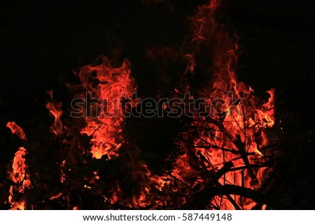 Firewood flames, pine nose leaves,strong flames, flickering flames, flame background, At Mitsu-Ann, Hanyu City, Saitama, Japan,2017-02-25