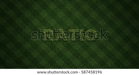 RATIO - fresh Grass letters with flowers and dandelions - 3D rendered royalty free stock image. Can be used for online banner ads and direct mailers.

