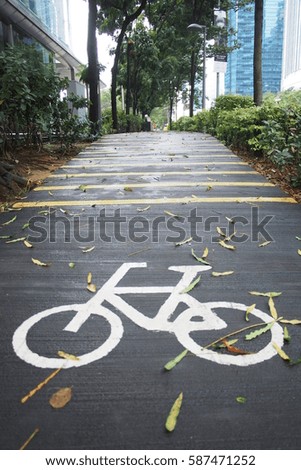 Bicycle path in Singapore