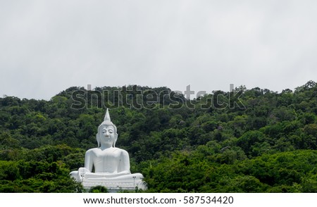 white Buddha statue meditation surrounding with the green tree