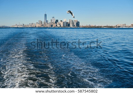 Seagull flies over skyline Manhattan waterfront view