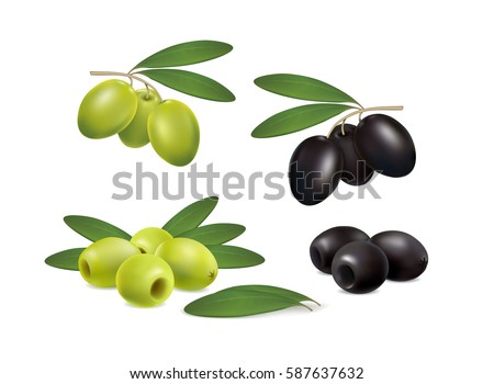 set of green and black olives on white background Royalty-Free Stock Photo #587637632