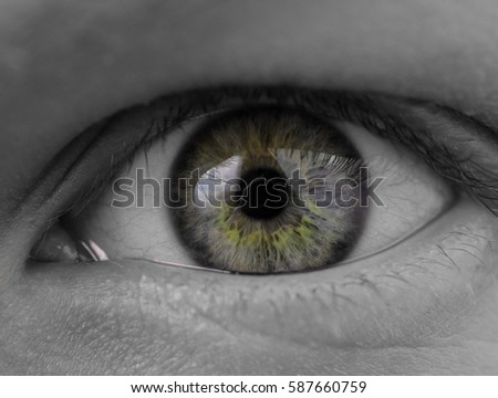 Close up photo of a green eye of a girl