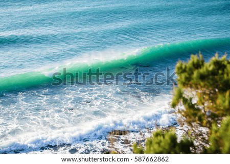 A perfect wave breaking at the beach.