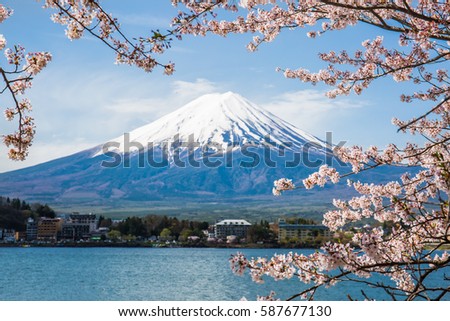 Mount Fuji with cherry blossom at Lake kawaguchiko in japan  Royalty-Free Stock Photo #587677130