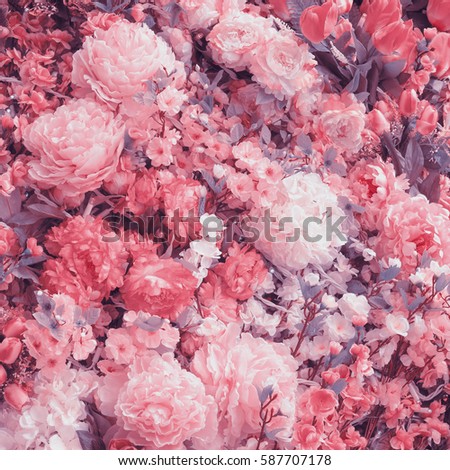 Abstract background of flowers. Faded color tone