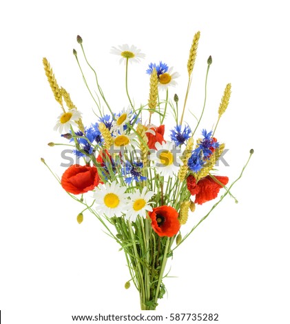 Bouquet of beautiful flowers (Cornflowers, chamomiles wheat and poppies) isolated without shadow Royalty-Free Stock Photo #587735282