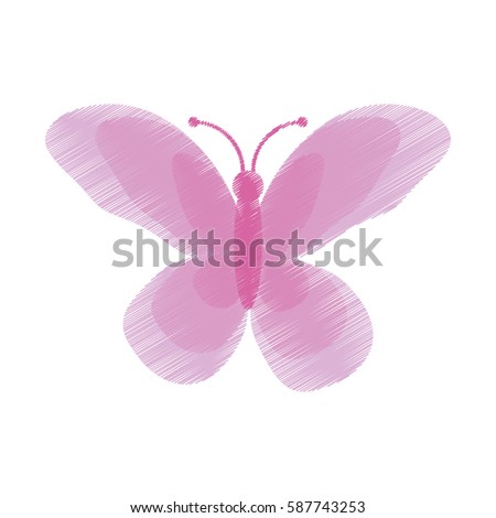 drawing cute pink butterfly insect vector illustration eps 10