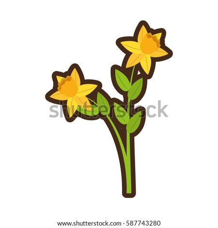 cartoon daffodil flower spring floral vector illustration eps 10