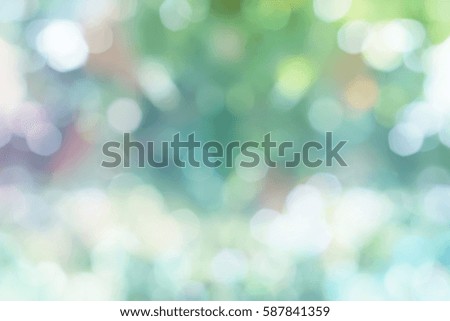 colorful pastel bokeh light in spring background 