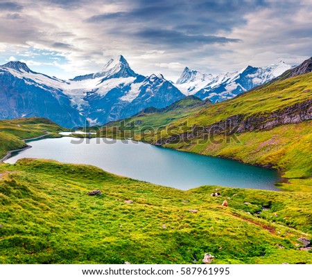 Dramatic summer view of the Bachalpsee lake with Schreckhorn and Wetterhorn peaks on the background. Green morning scene in the Swiss Bernese Alps, Switzerland, Europe. 