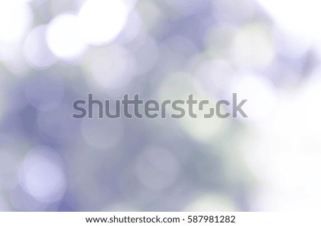Blue bokeh out of focus background from nature forest