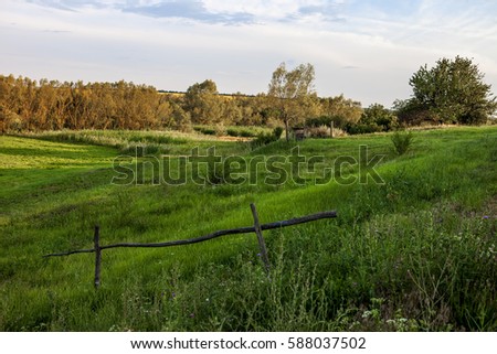 field sky grass trees