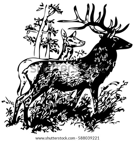Hand drawing black vector of deer's with antlers isolated on white background.
