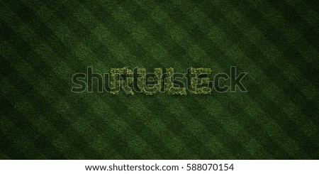 RULE - fresh Grass letters with flowers and dandelions - 3D rendered royalty free stock image. Can be used for online banner ads and direct mailers.
