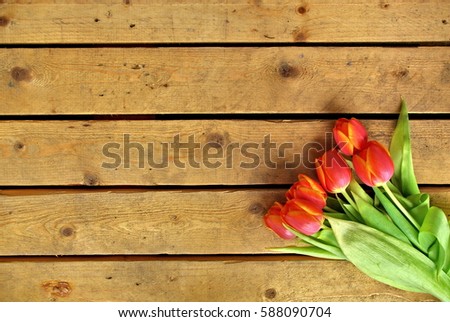 orange fresh tulips on wooden vintage background boards, Mother's Day concept 