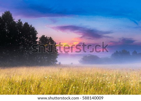 Wild foggy meadow landscape. Summer grassland under sunset or sunrise sky and fog. Misty landscape.