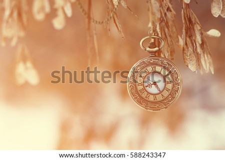 Vintage watch with chain on the branches of trees in the spring.